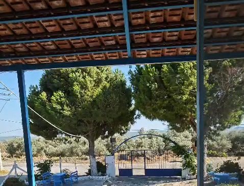 Bahçe ve kır manzarası